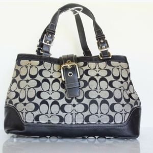 Coach Hampton Carryall